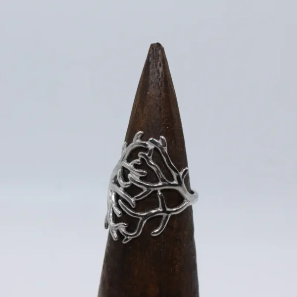 Anillo Rama