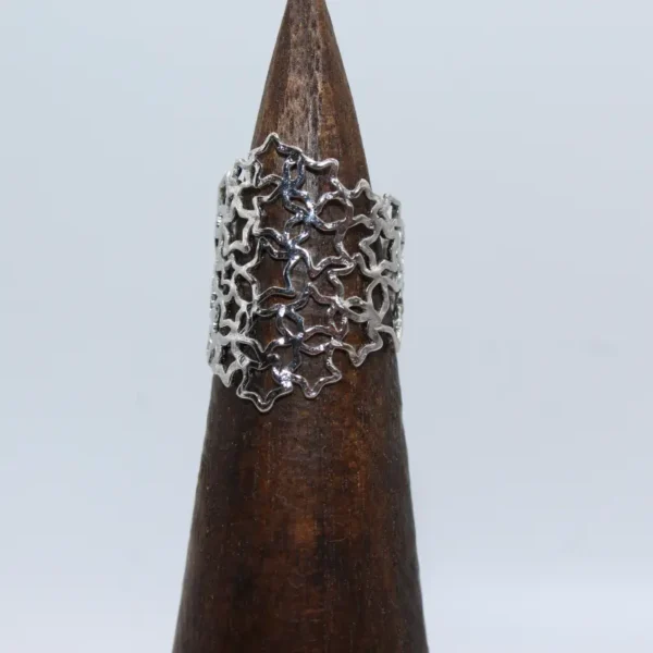 Anillo Constelación